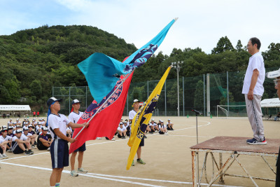 3L7A9567