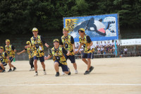 ②黄4