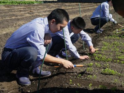 P1190167 - コピー