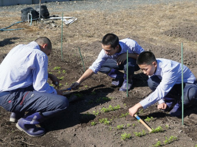 P1190171 - コピー