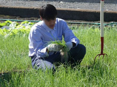 P1190175 - コピー