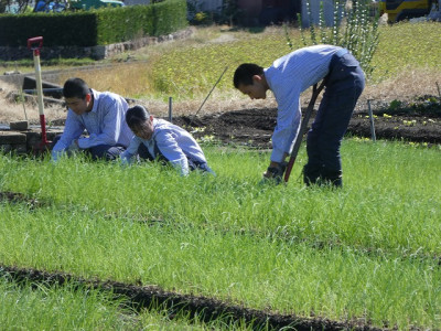 P1190176 - コピー