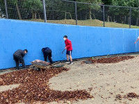 D8654B75-CC9A-41C7-BF69-3957AEEB2421