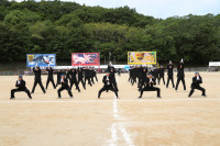 3L7A2648