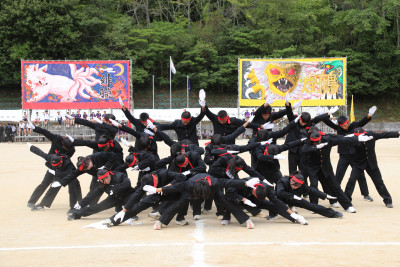 3L7A2507